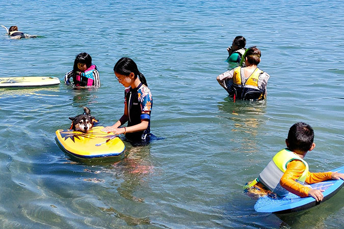 SUP / Kayak SUP カヤック